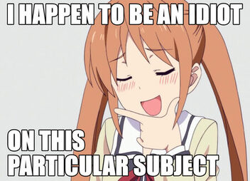 /Ego/I_Happen_To_Be_An_Idiot.jpg