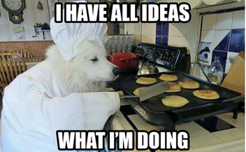 /Ego/I_Have_All_Ideas.jpg